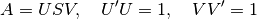 A = U S V, \quad U' U = 1, \quad V V' = 1